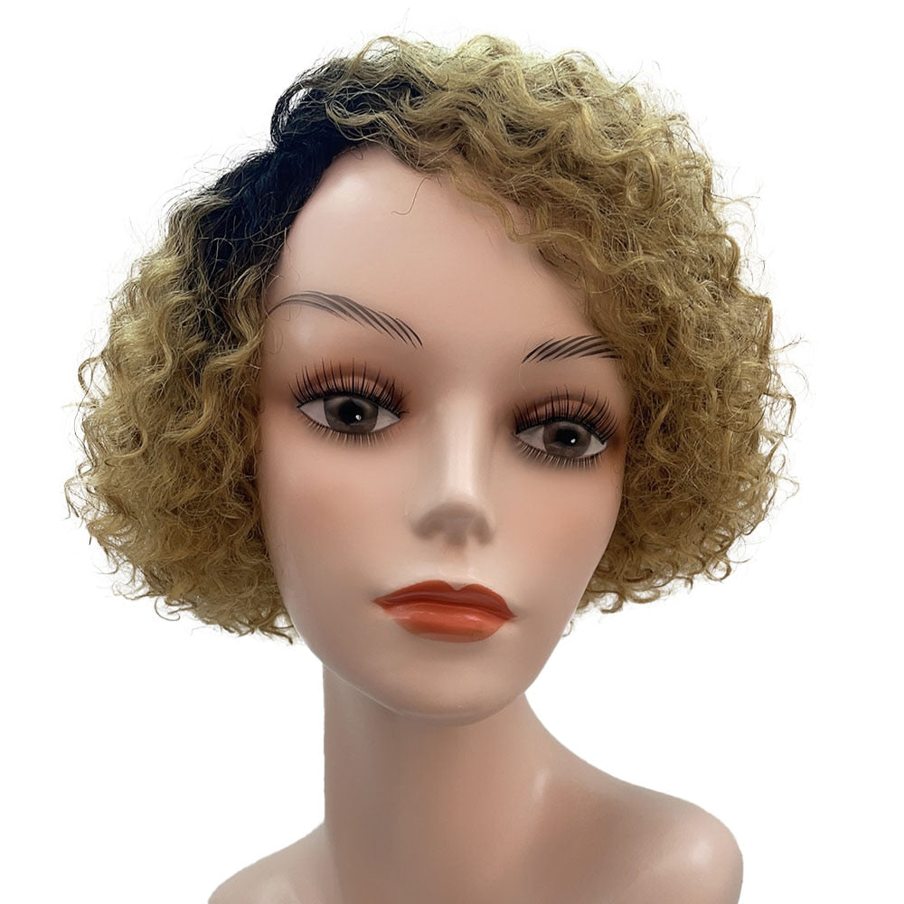 Short Kinky Curly Human Hair Wig Afro Short Wigs Pixie Cut Wig Human Hair No Lace Front Natural Brazilian Hair Wigs For Women